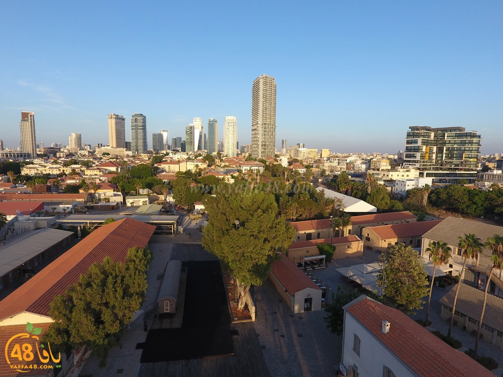 yaffa train  (13).jpg.jpg